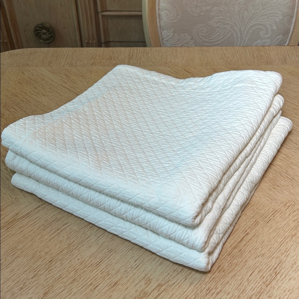 Restoration Hardware Euro Pillow Shams (3) - Picture 8 of 8